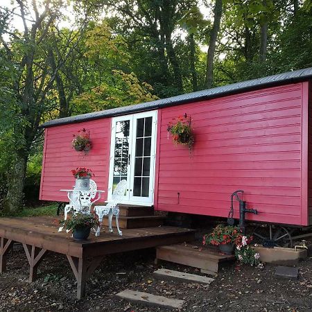 Borthwickbrae Shepherd'S Hut 霍伊克 外观 照片