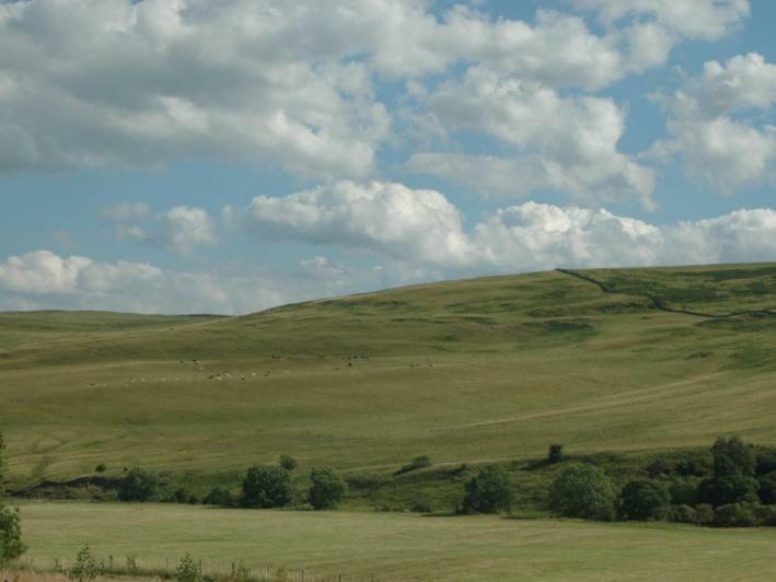 Borthwickbrae Shepherd'S Hut 霍伊克 外观 照片